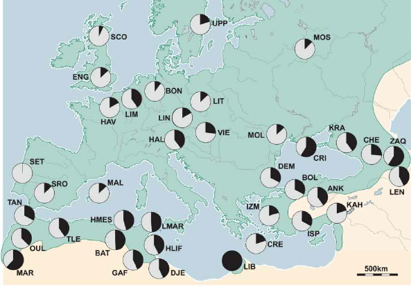 Illustration of relative bill length across dozens of populations of chaffinch in Europe and North Africa.