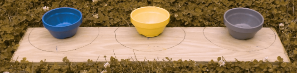 Image of wooden tray with blue, yellow, and grey bowls using a filter for dog vision.