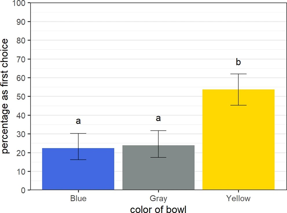 Dynamite plot of percentage of each color bowl (blue, grey, and yellow) as first choice. Twice as many dogs chose yellow compared to blue or grey.