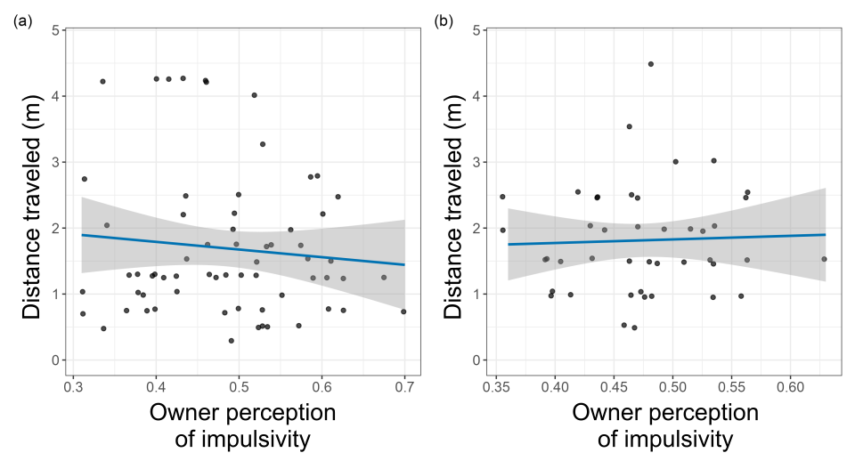 Scatterplot of Distance traveled (in meters) as a function of Owner Perception of Impulsivity. Data show no relationship.