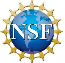 National Science Foundation logo