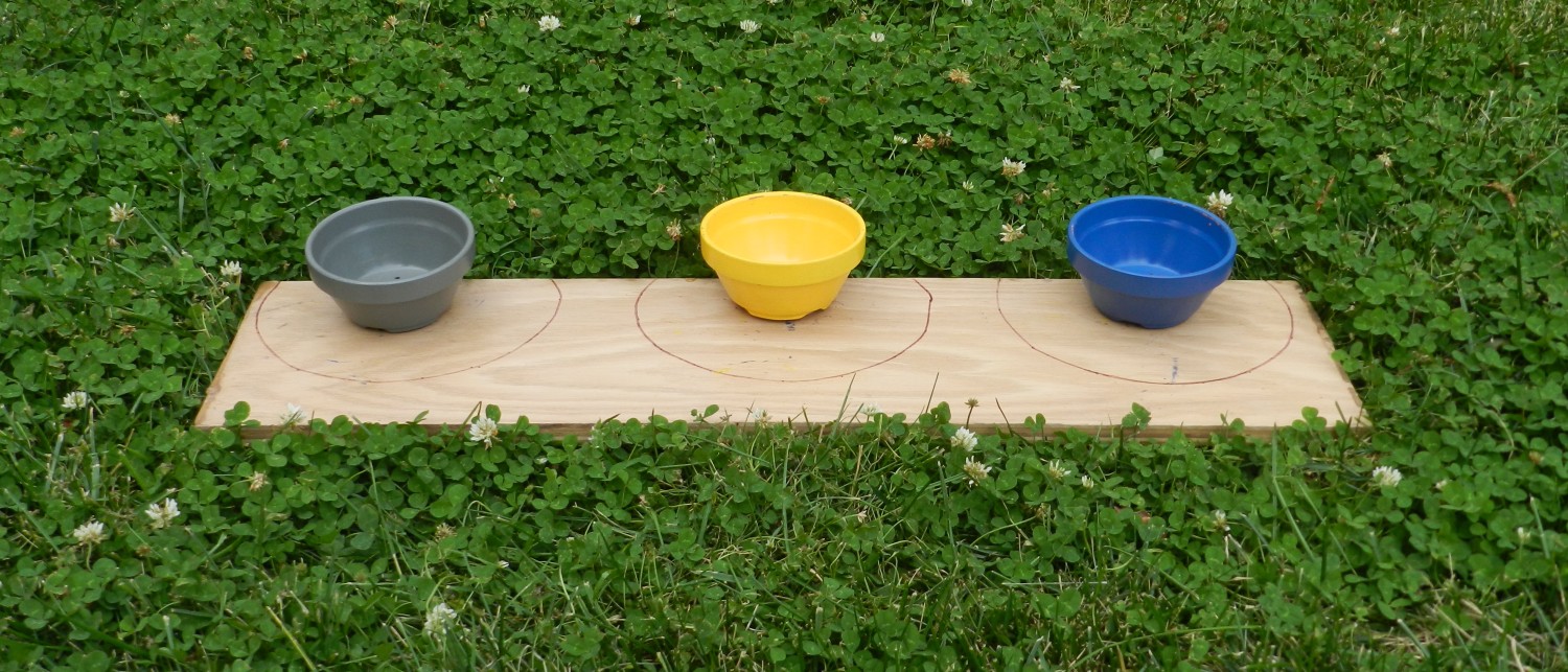 Brown and white dog sitting behind grey, yellow, and blue bowls.
