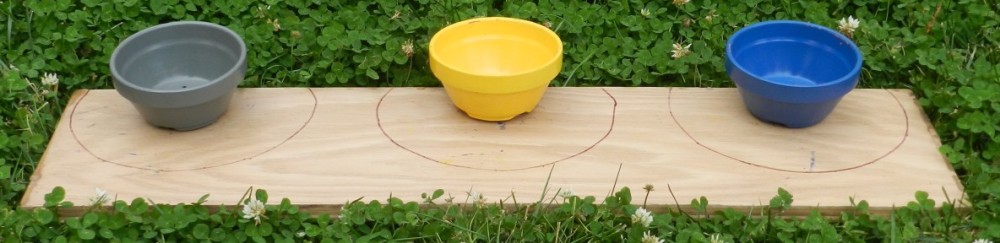 Image of wooden tray with blue, yellow, and grey bowls.