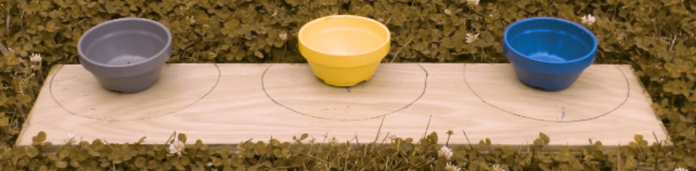 Image of wooden tray with blue, yellow, and grey bowls using a filter for dog vision.