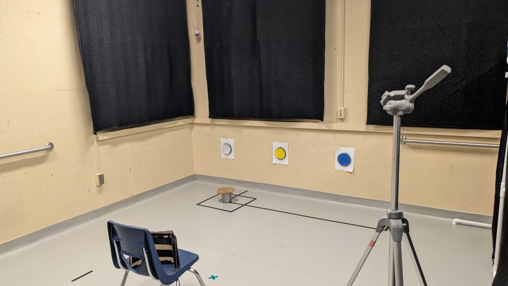View of lab set-up with chair, bucket, and tripod on the floor and white, yellow, and blue circles and camera mounted on wall.