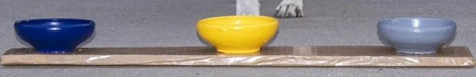Image of wooden tray with blue, yellow, and grey bowls.