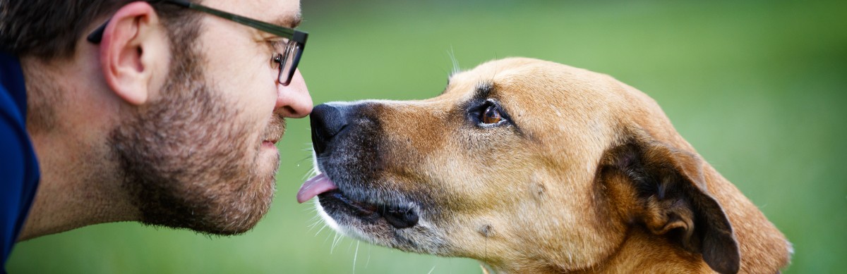 Image of brown dog about to lick Dr. Stevens' face.